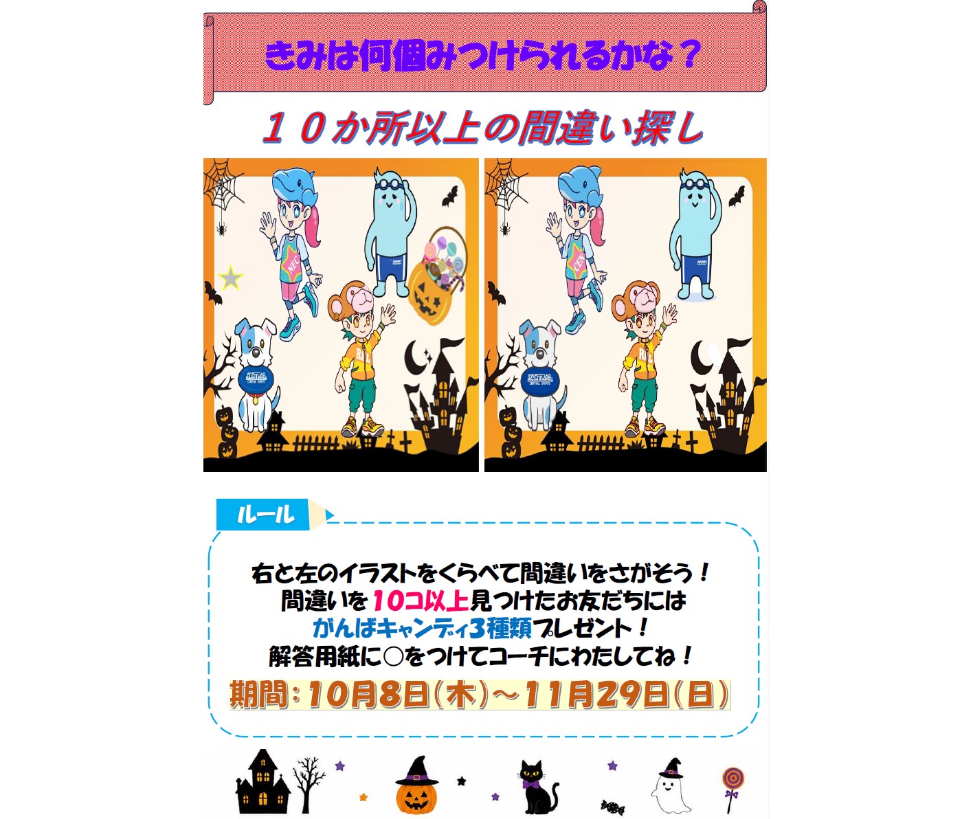 スタッフボイス画像