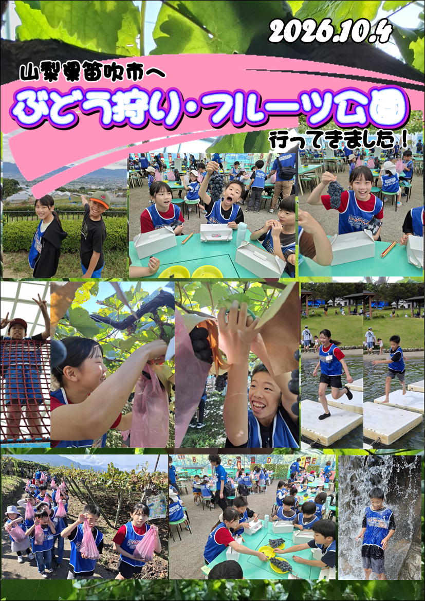 スタッフボイス画像