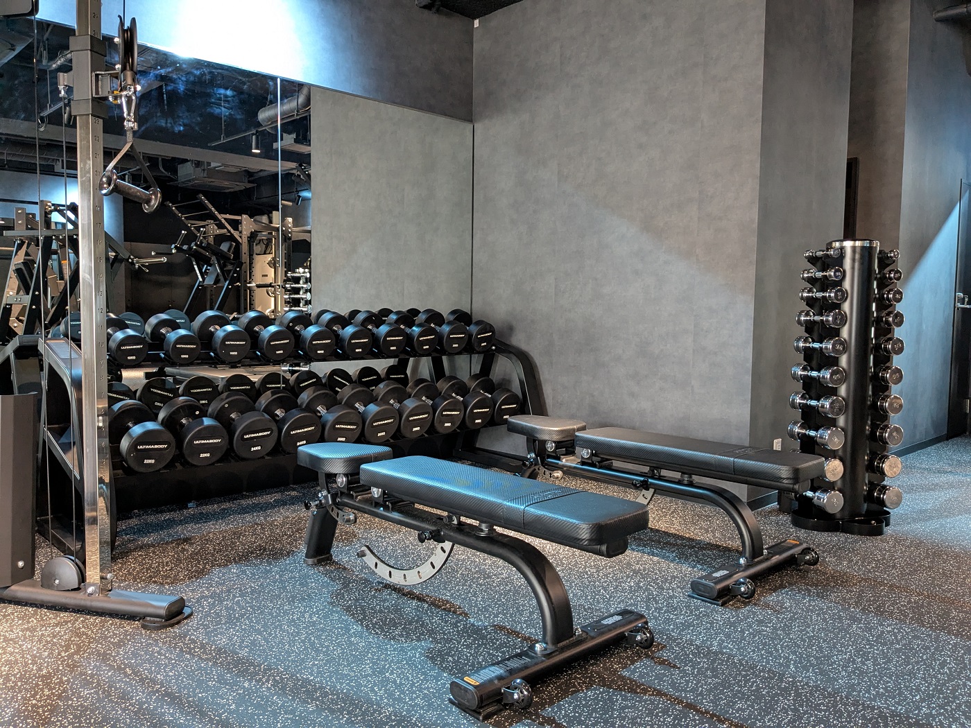 ダンベルセット＆アジャスタブルベンチ（イメージ）