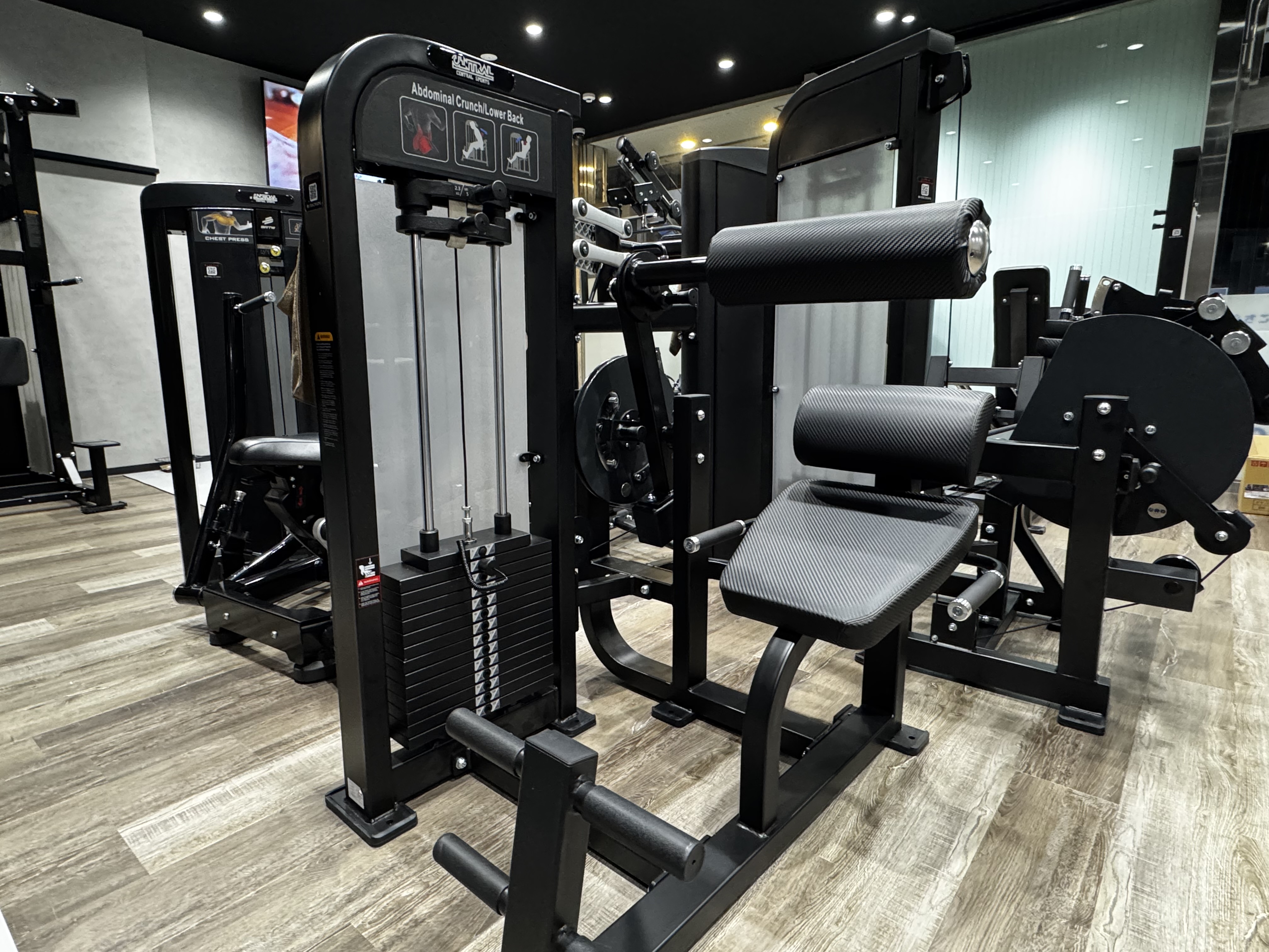 アブドミナル/ローワーバック