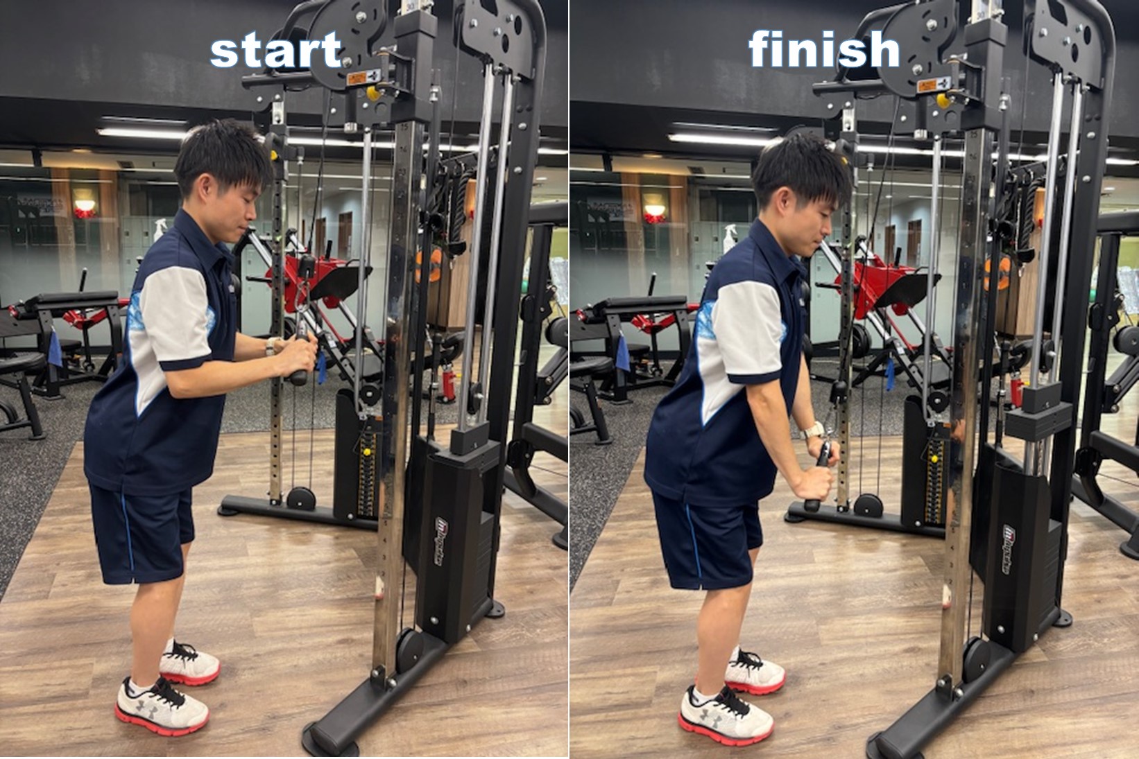 [Cable machine] Training can be done on various trajectories.