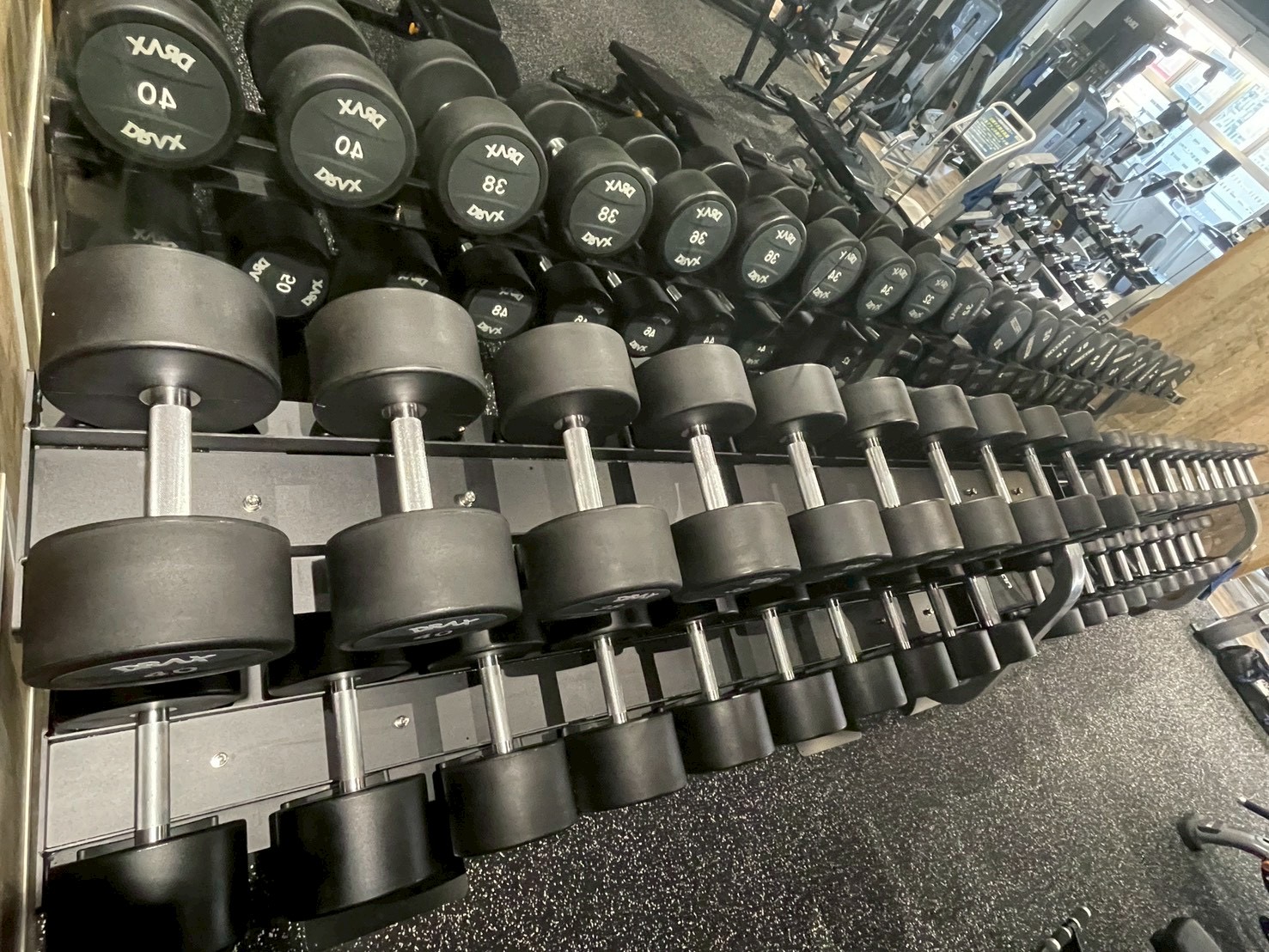 フリーウエイトエリア【ダンベル紹介】ダンベル12㎏～50㎏