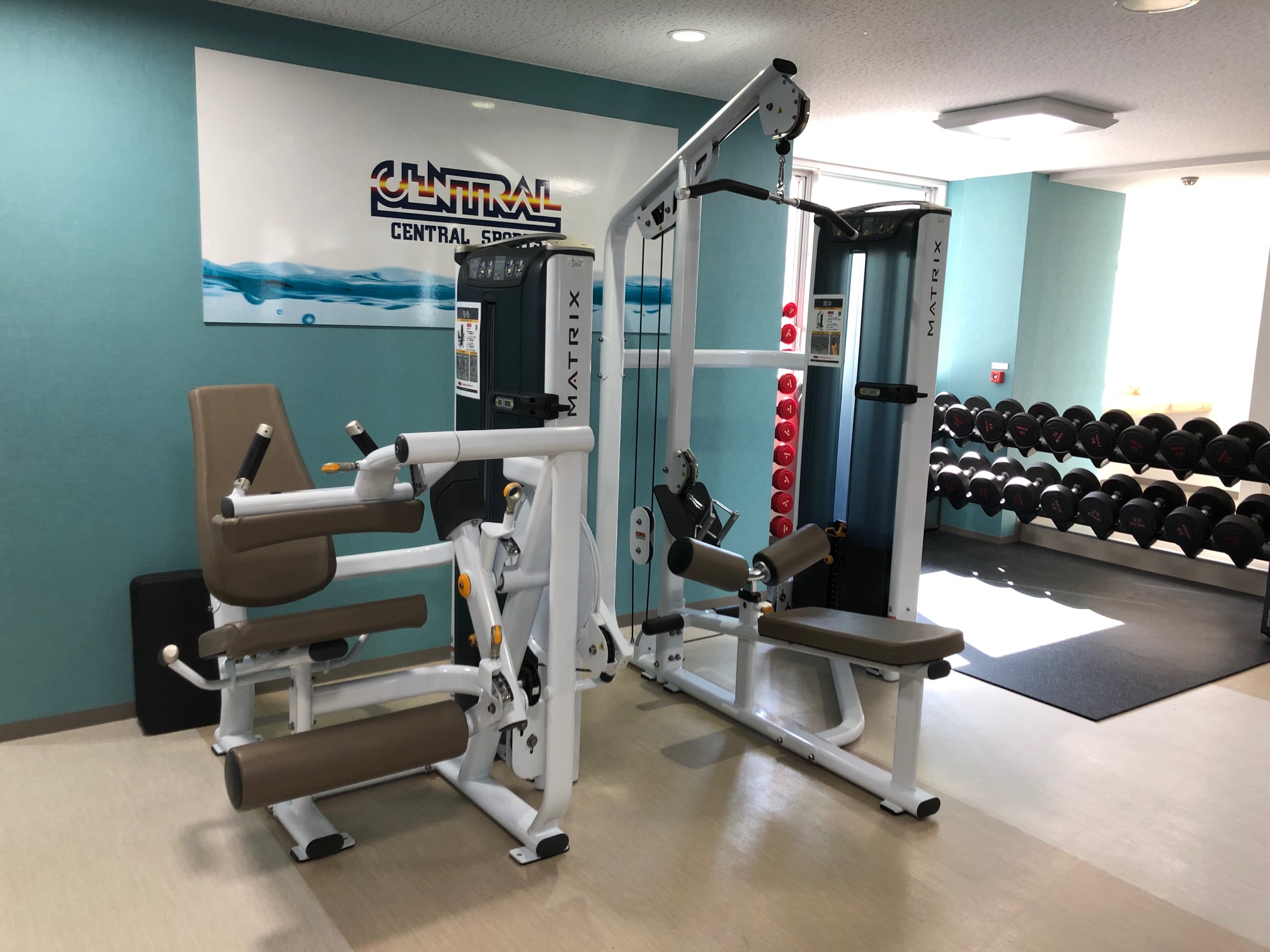 ウエイトトレーニングの基本