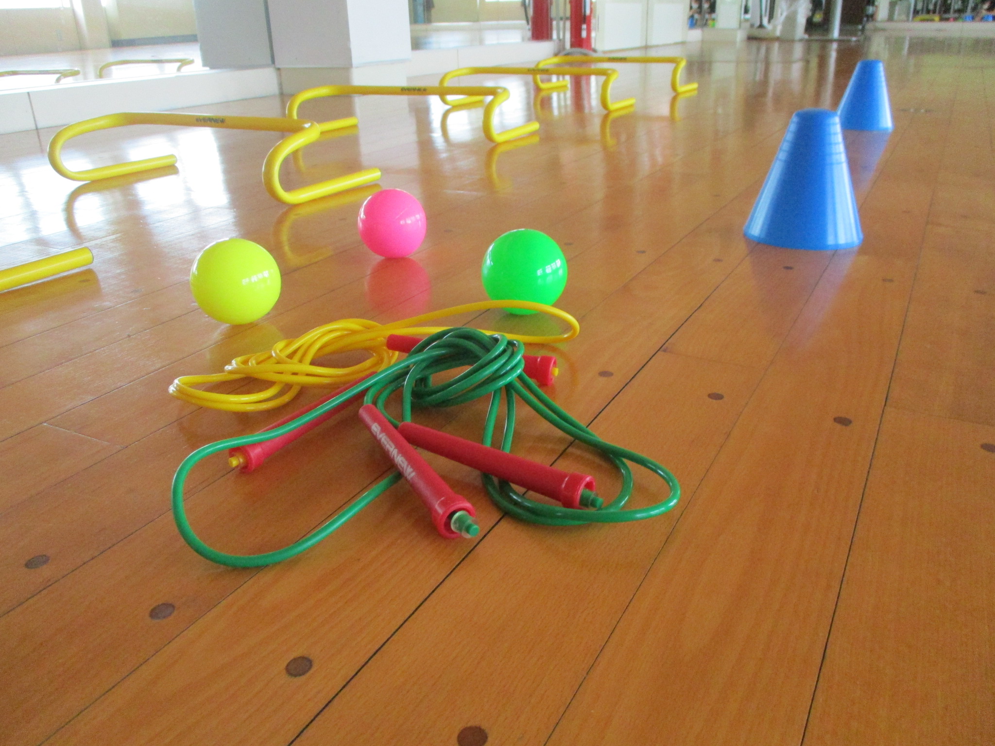<Athletic ability development school>