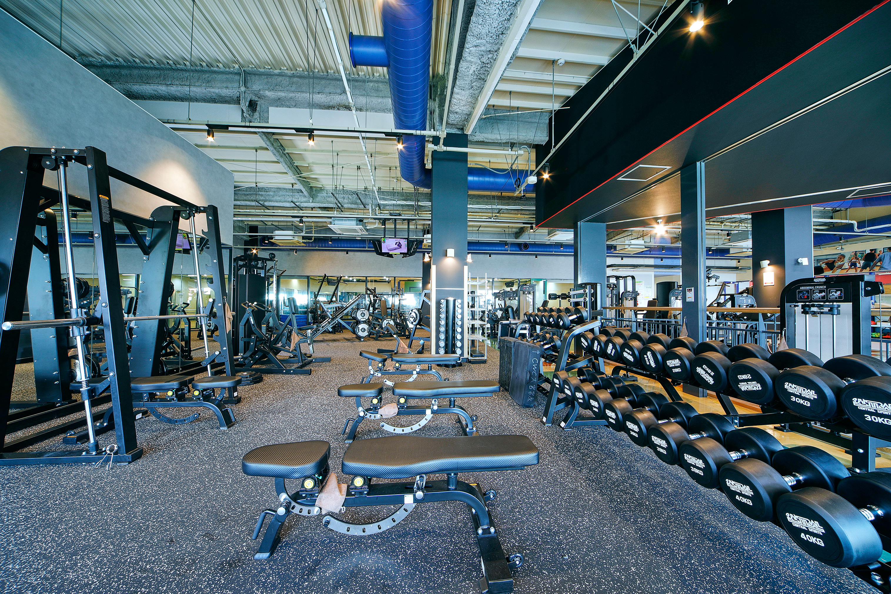 【2025年8月全面リニューアル】マシンジムエリア③ダンベル重量40㎏！