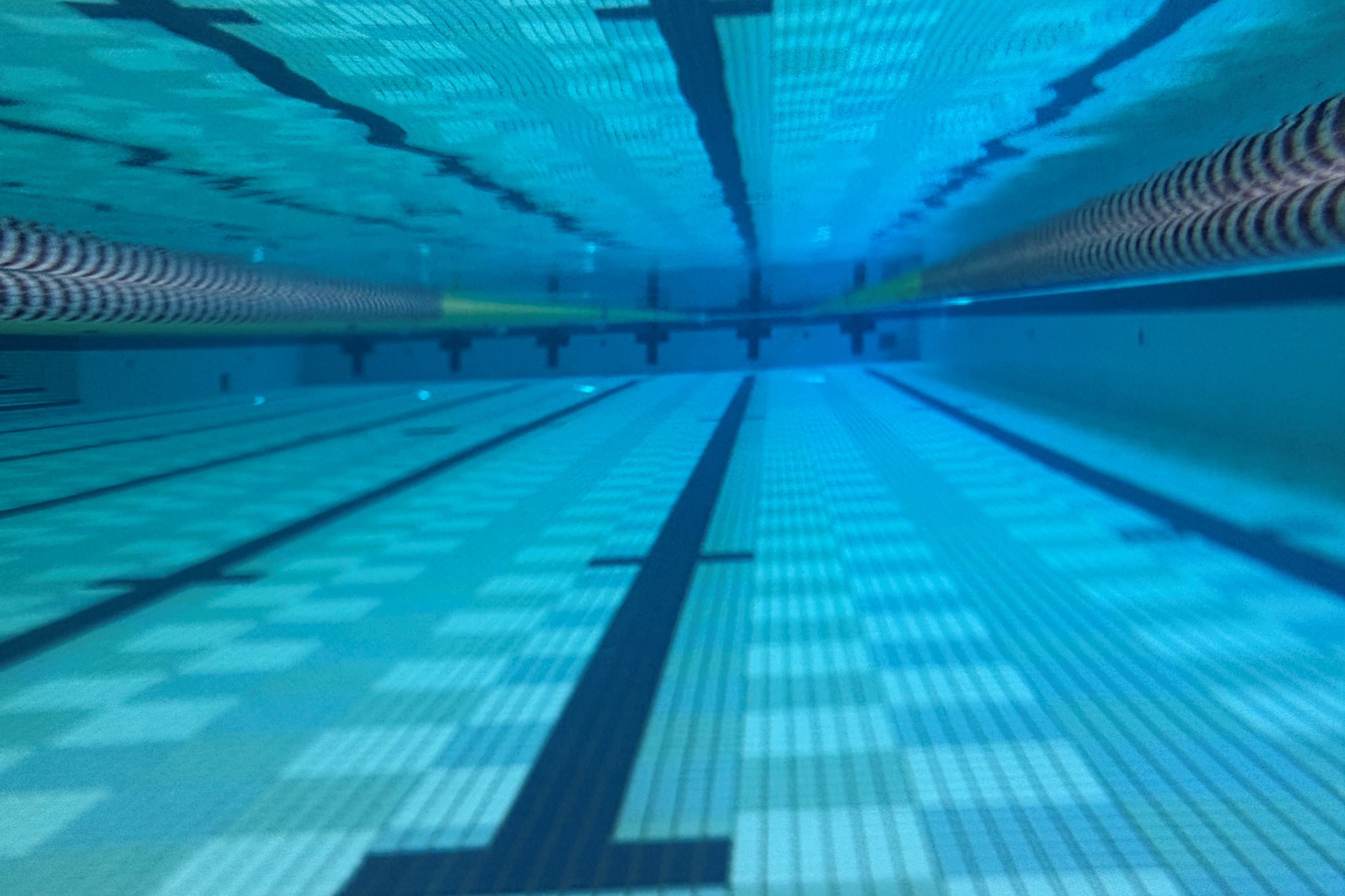 25ｍプール水中の様子