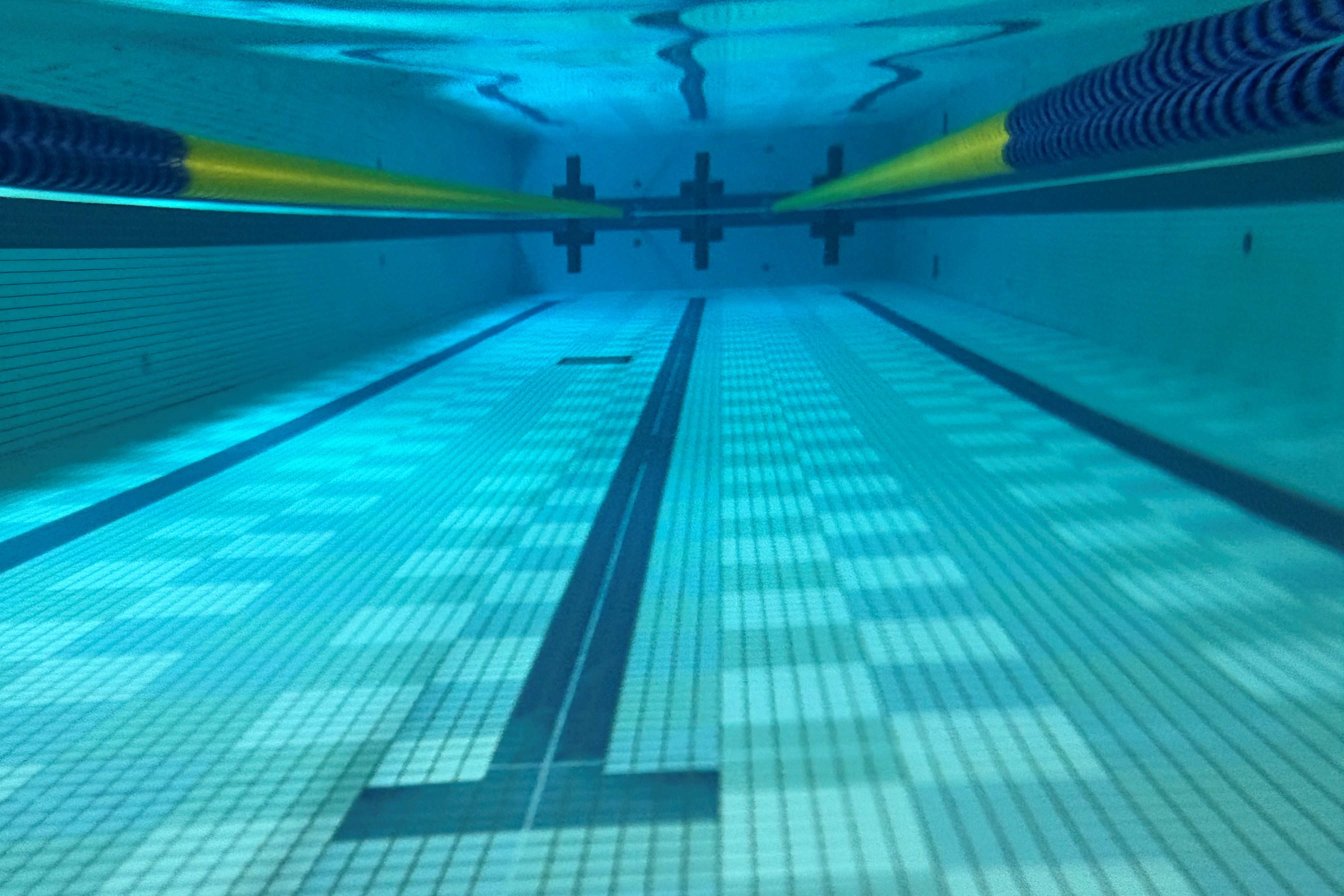 20ｍプール水中の様子