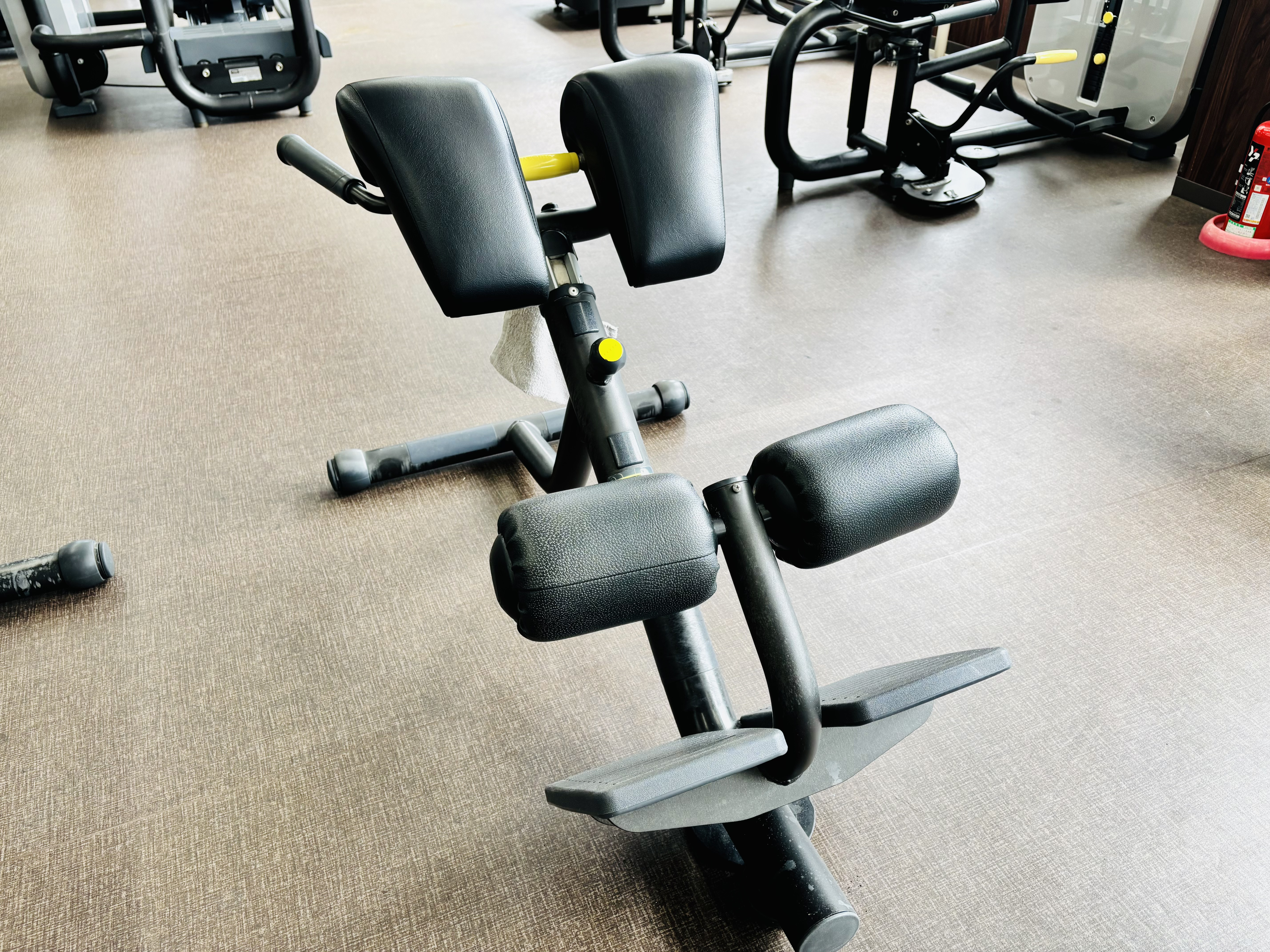 ウエイトマシン⑧【バックエクステンション】