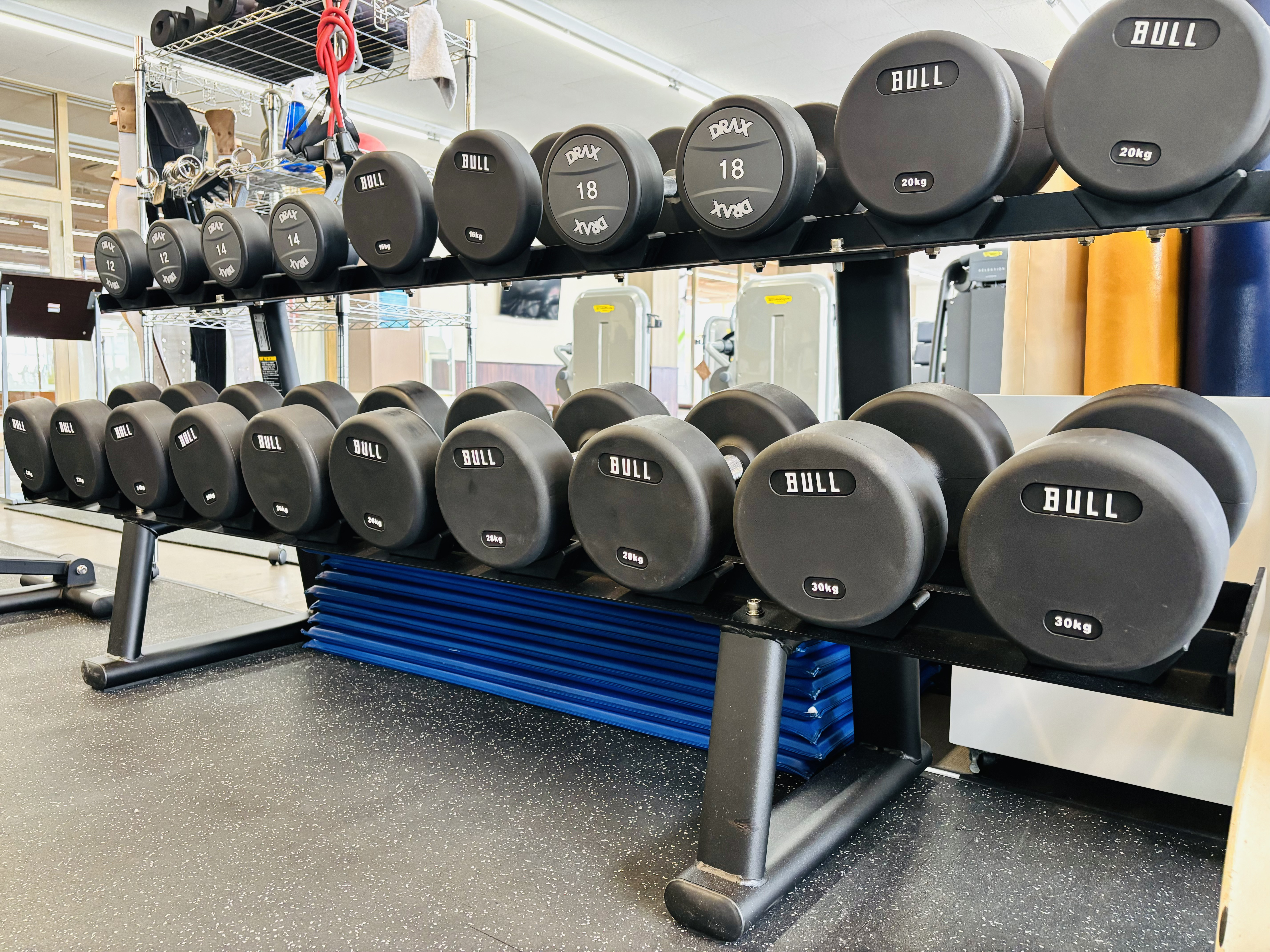 フリーウエイト⑧【ダンベル】