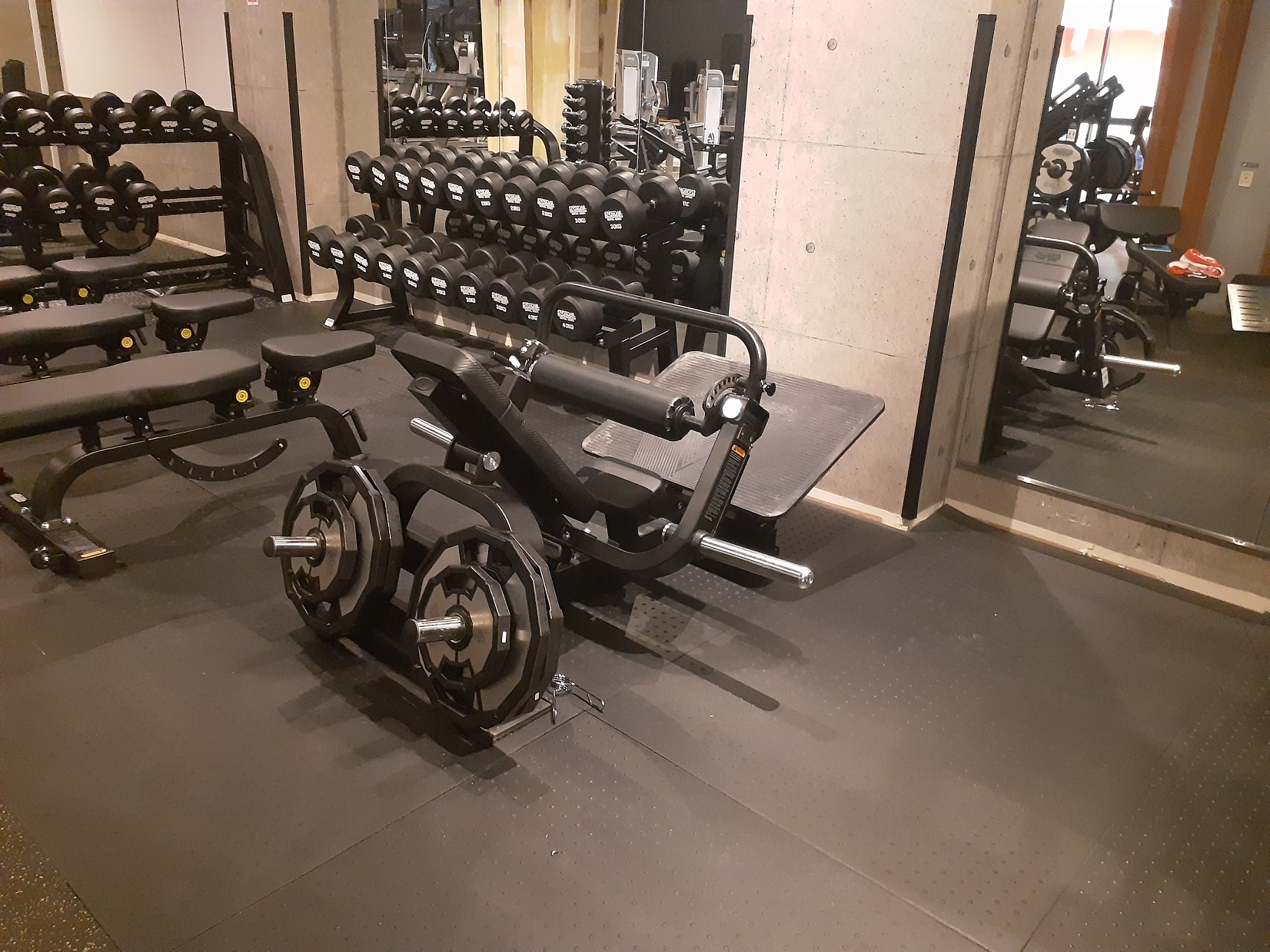 【圧巻のGYM】NEW！プレートロードマシン①