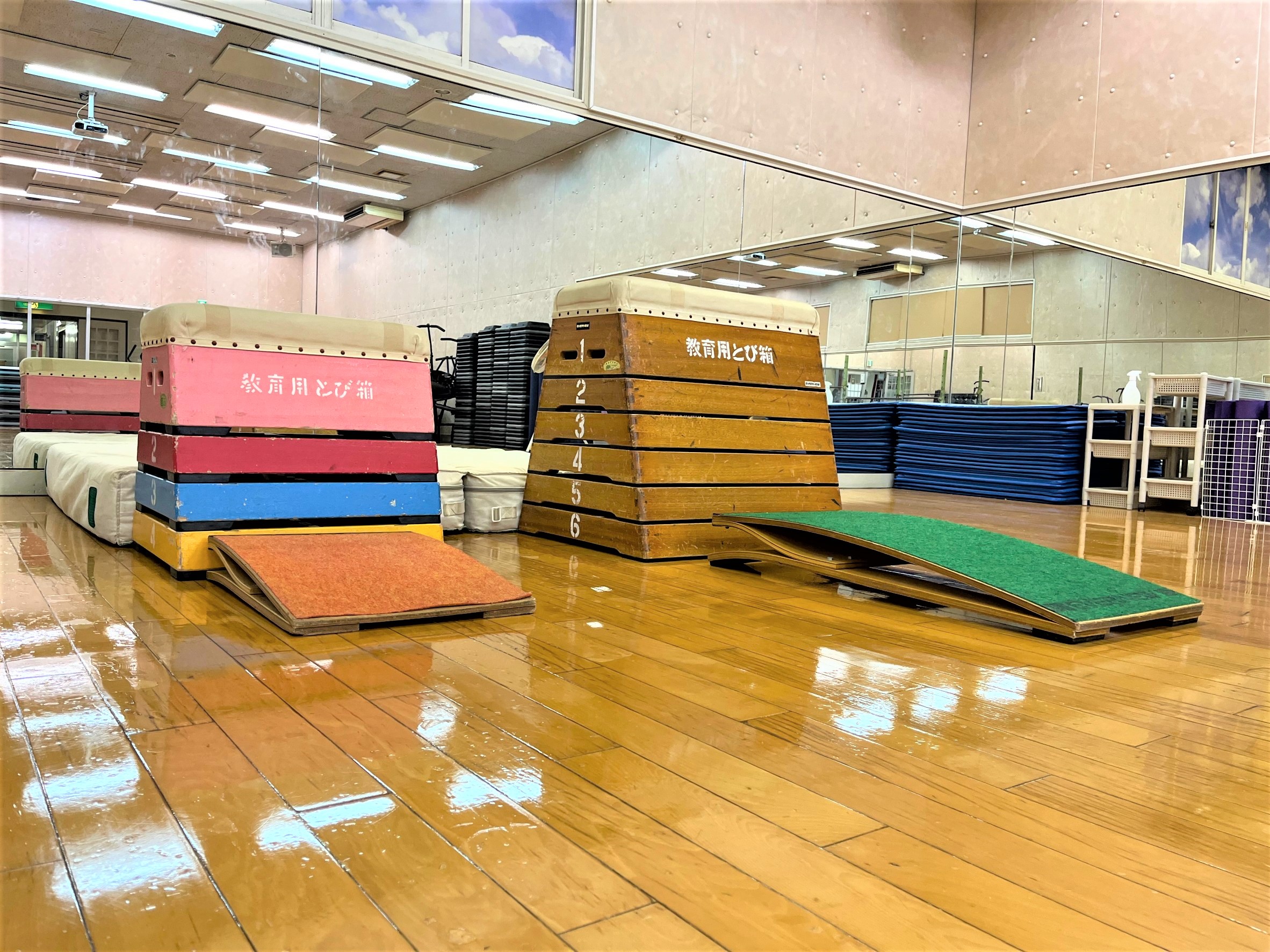 [Physical Education School Vaulting Box]