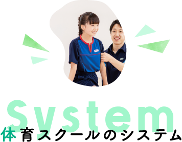 system