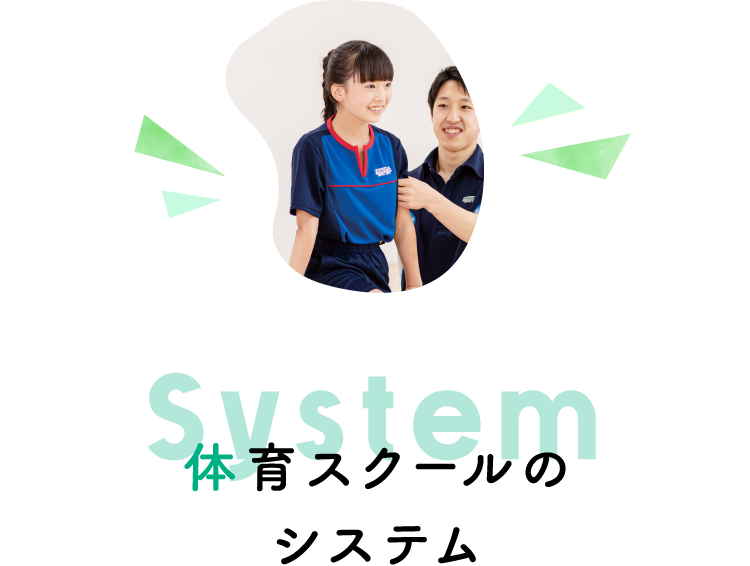 system