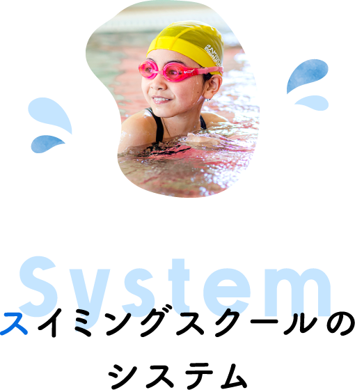 system