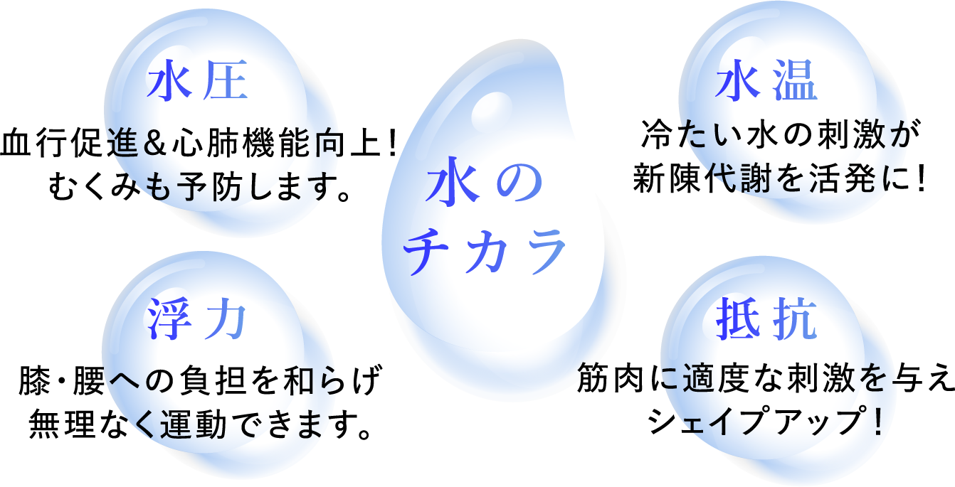 水のチカラ 水圧：血行促進＆心肺機能向上！むくみも予防します。水温：冷たい水の刺激が新陳代謝を活発に！浮力：膝腰への負担を和らげ無理なく運動できます。抵抗：筋肉に適度な刺激を与えシェイプアップ！