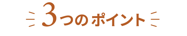 3つのポイント