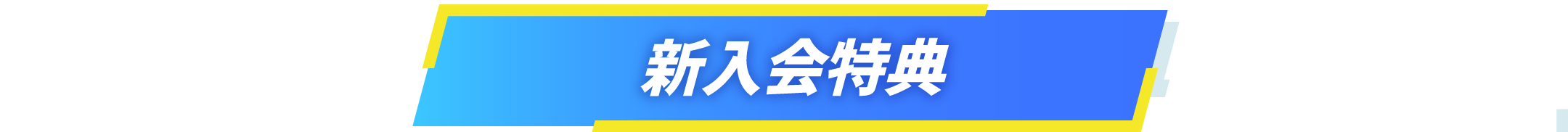 新入会特典