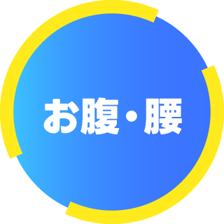お腹・腰
