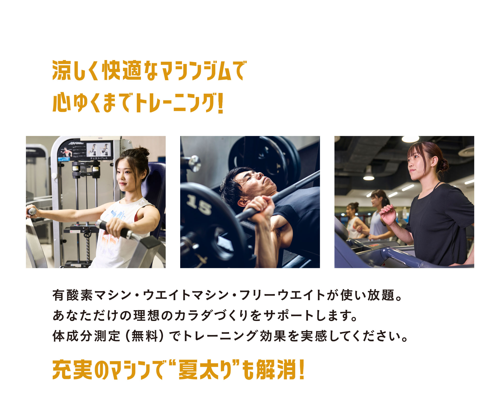 涼しく快適なマシンジムで心ゆくまでトレーニング！充実のマシンで“夏太り”も解消！