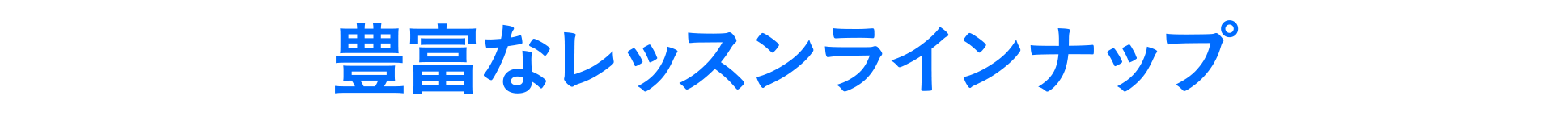 豊富なレッスンラインナップ