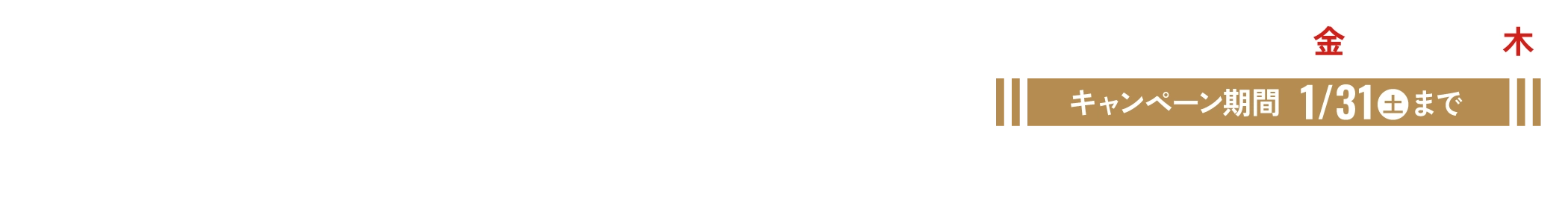 ニューイヤーキャンペーン2026