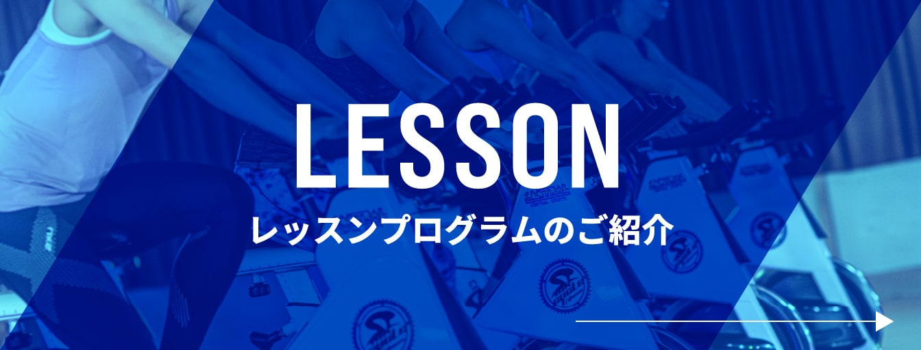 Introduction to the lesson program