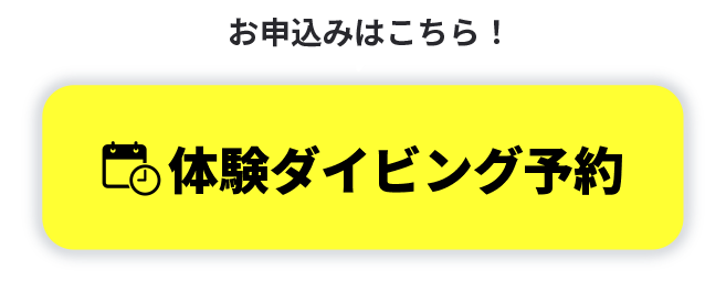 お申込みはこちら！体験ダイビング予約