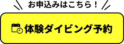 お申込みはこちら！体験ダイビング予約