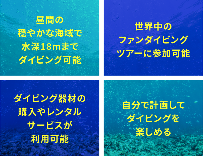 昼間の穏やかな海域で水深18mまでダイビング可能｜世界中のファンダイビングツアーに参加可能｜ダイビング器材の購入やレンタルサービスが利用可能｜自分で計画してダイビングを楽しめる