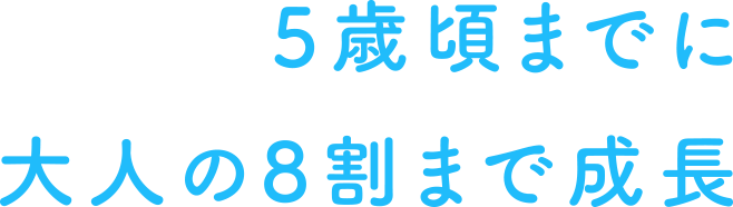 5歳頃までに大人の8割まで成長