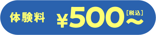 体験料500円