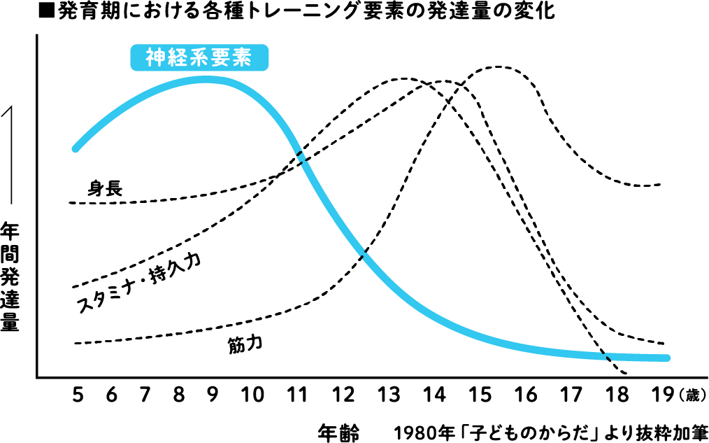 ■ Changes in the amount of development of various training elements during the developmental period