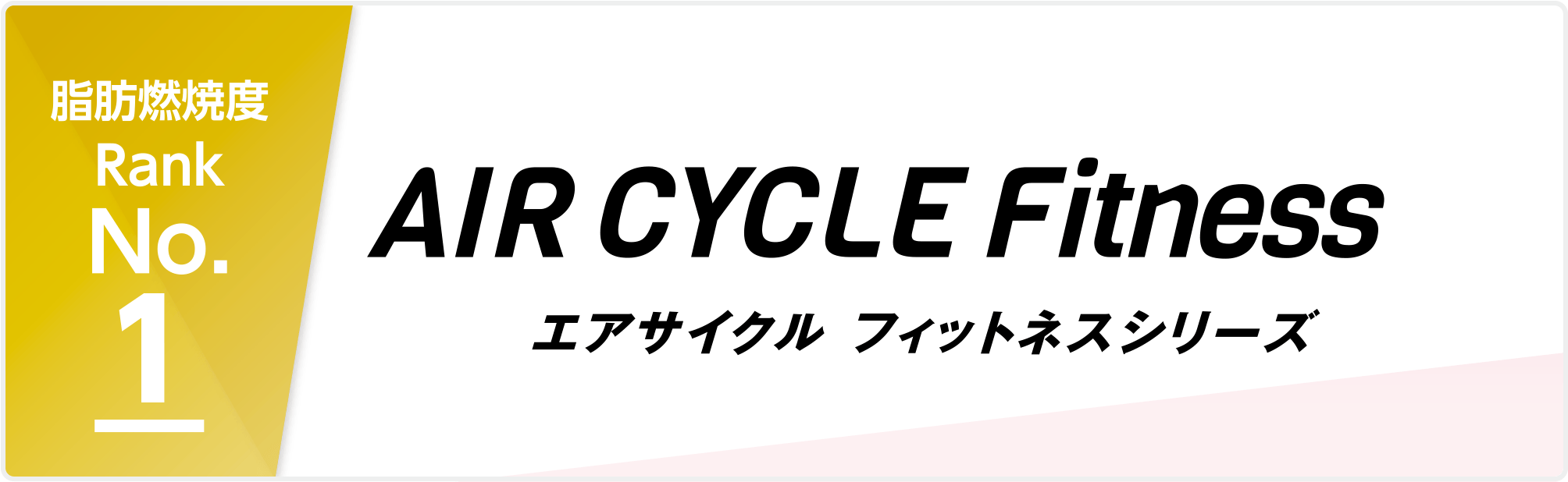 脂肪燃焼度 Rank No.01 AIR CYCLE Fitness エアサイクル フィットネスシリーズ