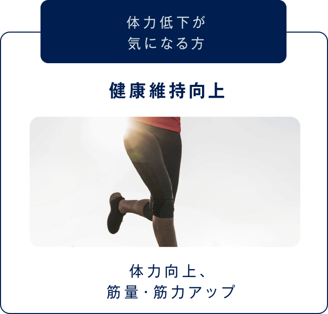 【体力低下が気になる方】健康維持向上（体力向上、筋量・筋力アップ）