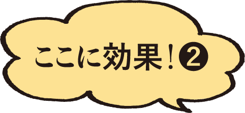 ここに効果2