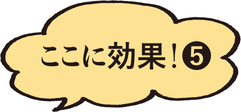 ここに効果5