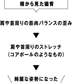 Distortion of muscle balance around the shoulders and neck