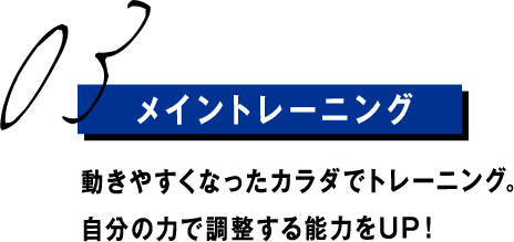 メイントレーニング