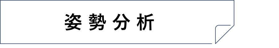 姿勢分析