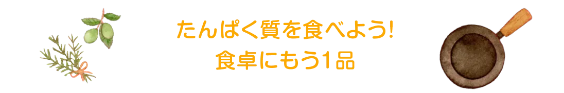 たんぱく質を食べよう！食卓にもう1品