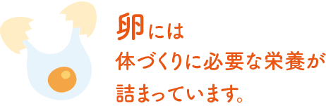 卵には体づくりに必要な栄養が詰まっています。