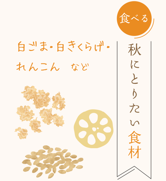 「食べる」秋にとりたい食材　白ごま・白きくらげ・れんこん など