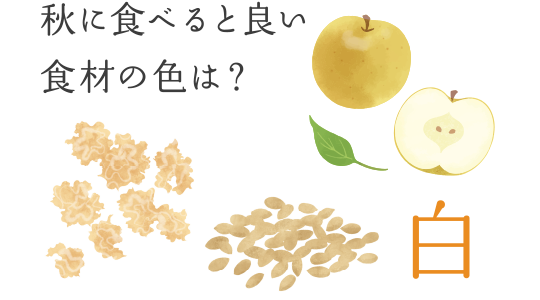 秋に食べると良い食材の色は？　―― 白