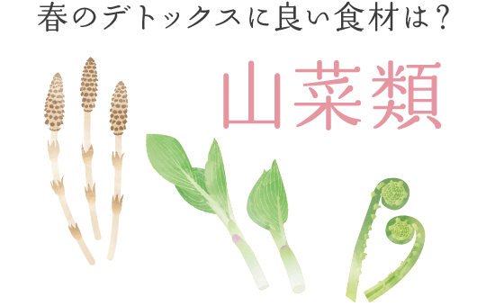 春のデトックスに良い食材は？　―― 山菜類