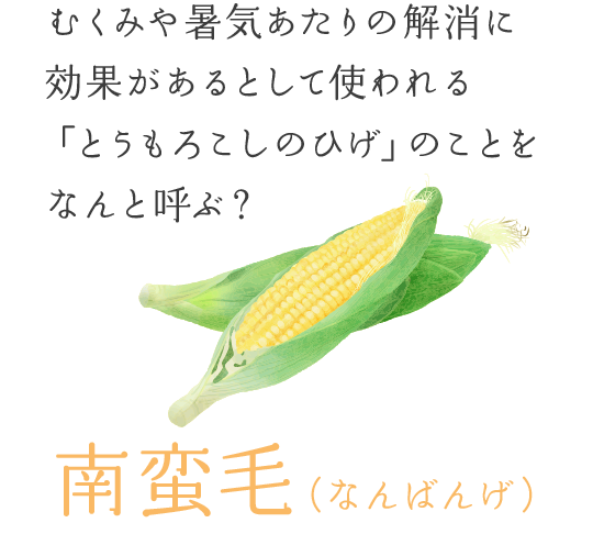 むくみや暑気あたりの解消に効果があるとして使われる「とうもろこしのひげ」のことをなんと呼ぶ？　―― 南蛮毛（なんばんげ）