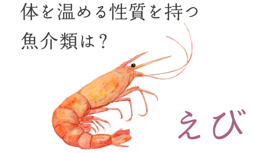 体を温める性質を持つ魚介類は？　―― えび