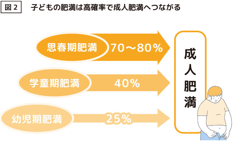 図2 子どもの肥満は高確率で成人肥満へつながる