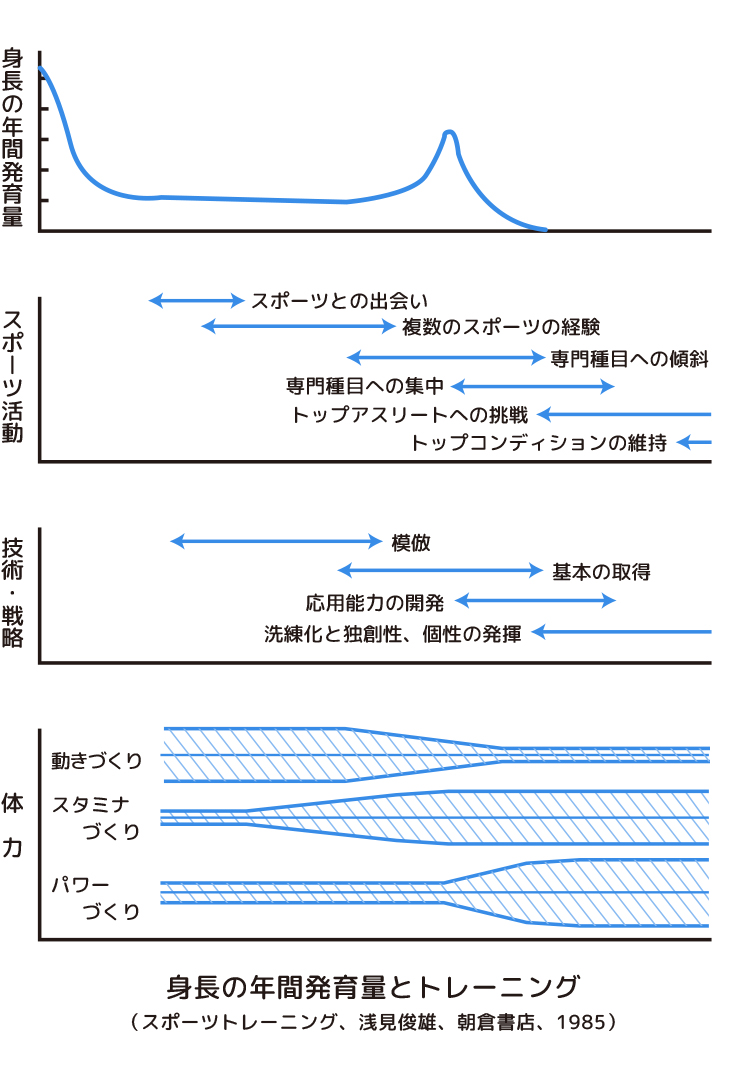 身長の年間発育量とトレーニング