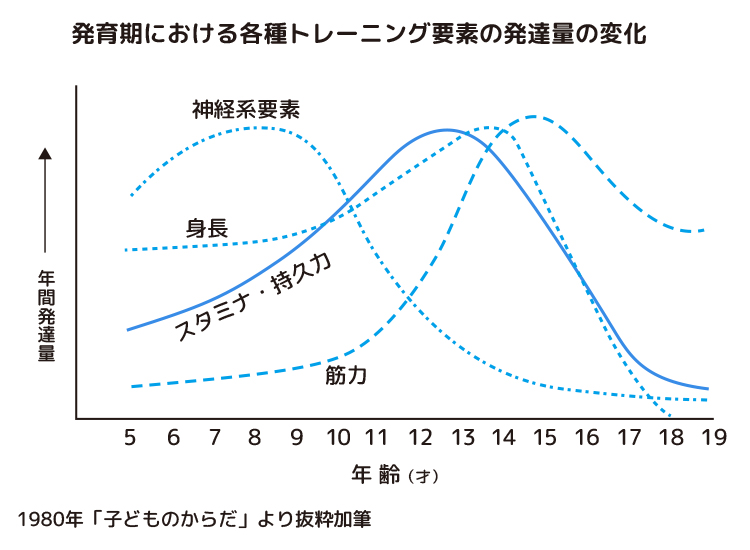 発育期における各種トレーニング要素の発達量の変化