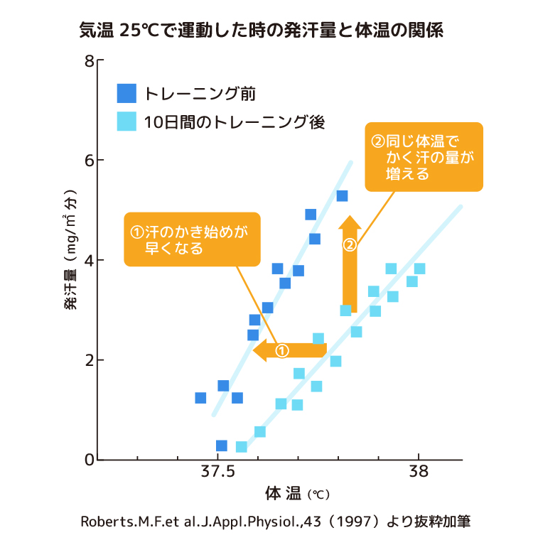 気温25℃で運動した時の発汗量と体温の関係